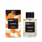 Мужская парфюмерная вода Natural Instinct Andros 100 мл арт.5700